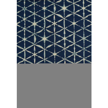 Momeni Baja BAJ41 Area Rug